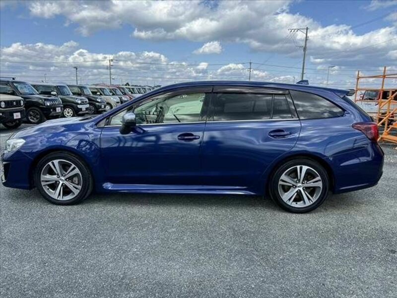 LEVORG-10