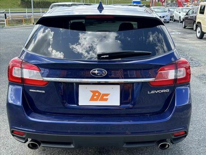 LEVORG-13