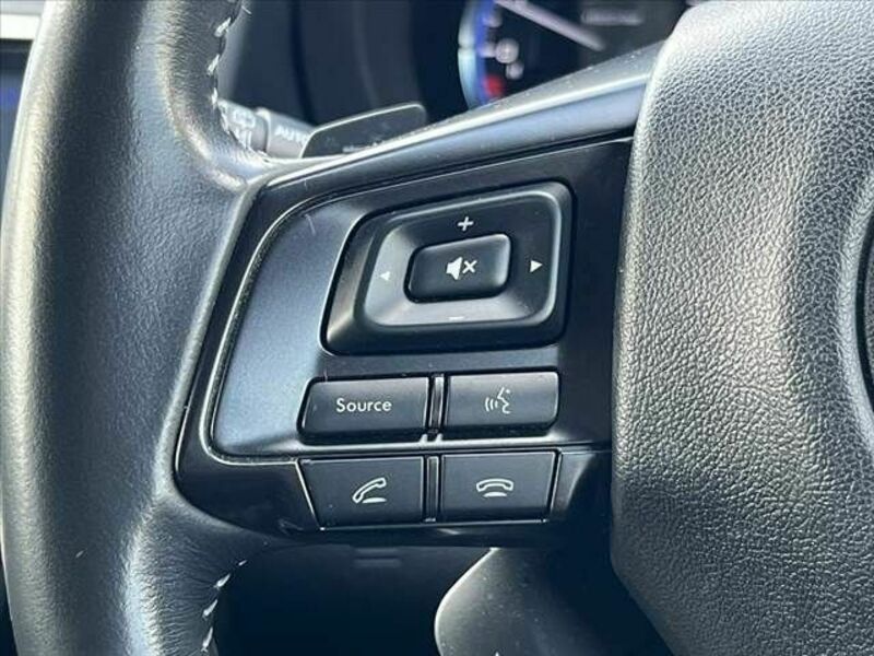 LEVORG-27