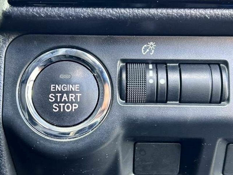 LEVORG-28