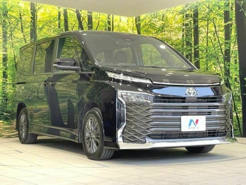 VOXY-16