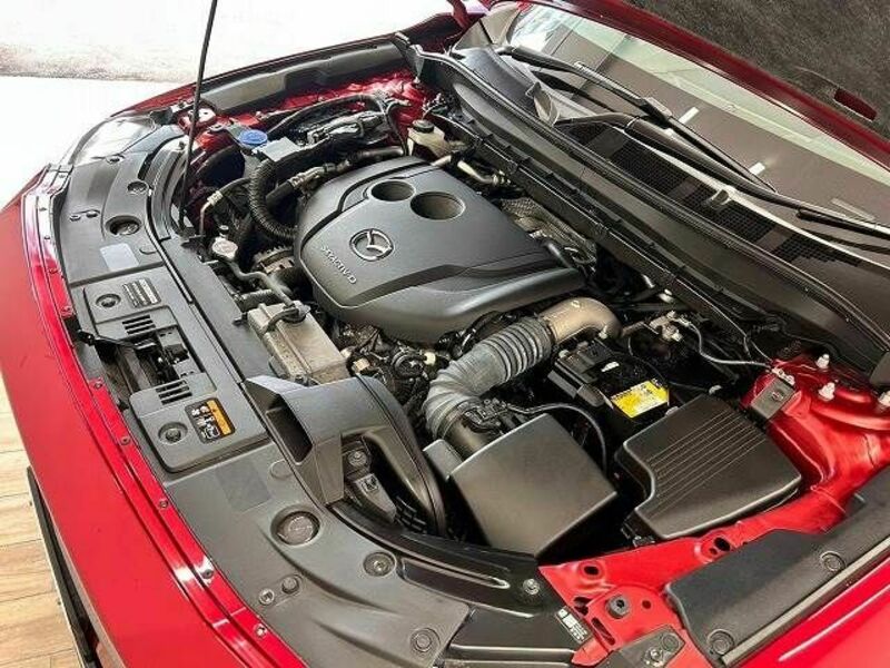 CX-5-17