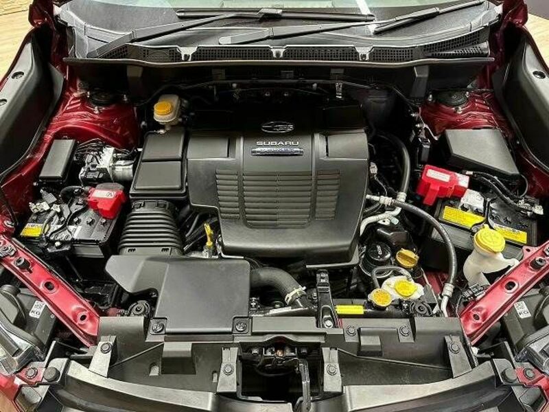 FORESTER-17