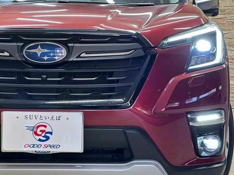 FORESTER-19