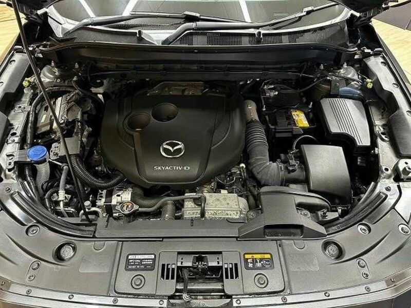 CX-8