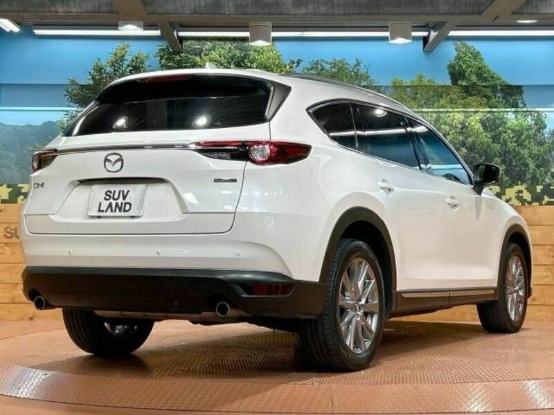 CX-8