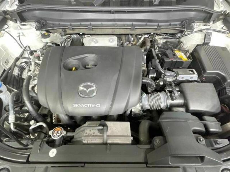 CX-8
