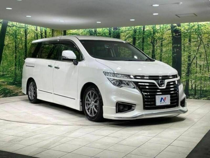 ELGRAND-17