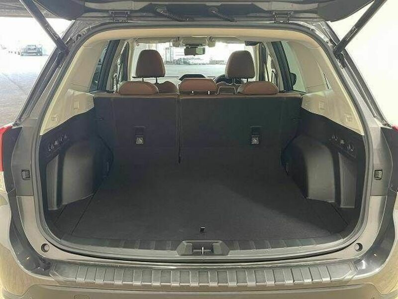 FORESTER-12