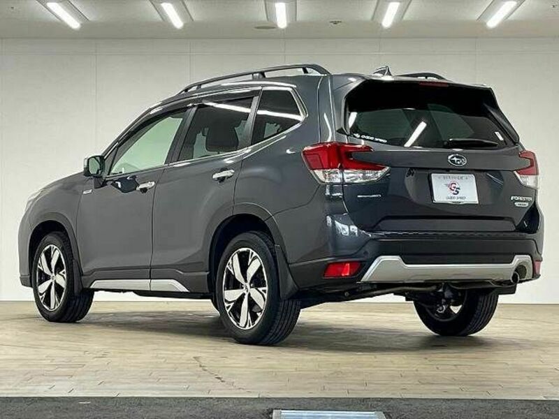 FORESTER-16