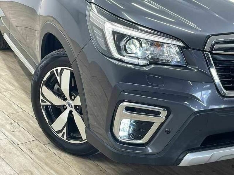 FORESTER-19