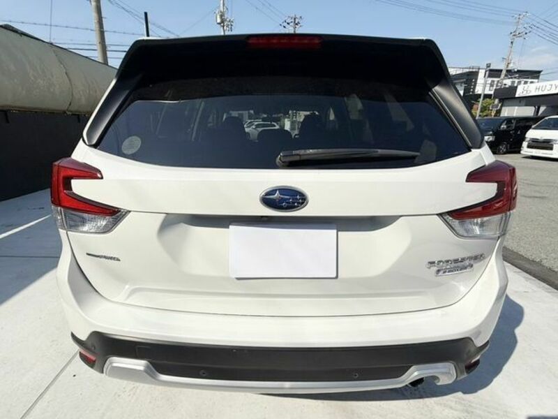 FORESTER-2