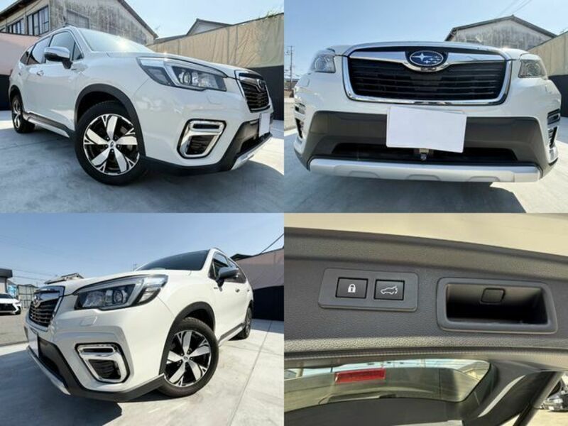 FORESTER-3
