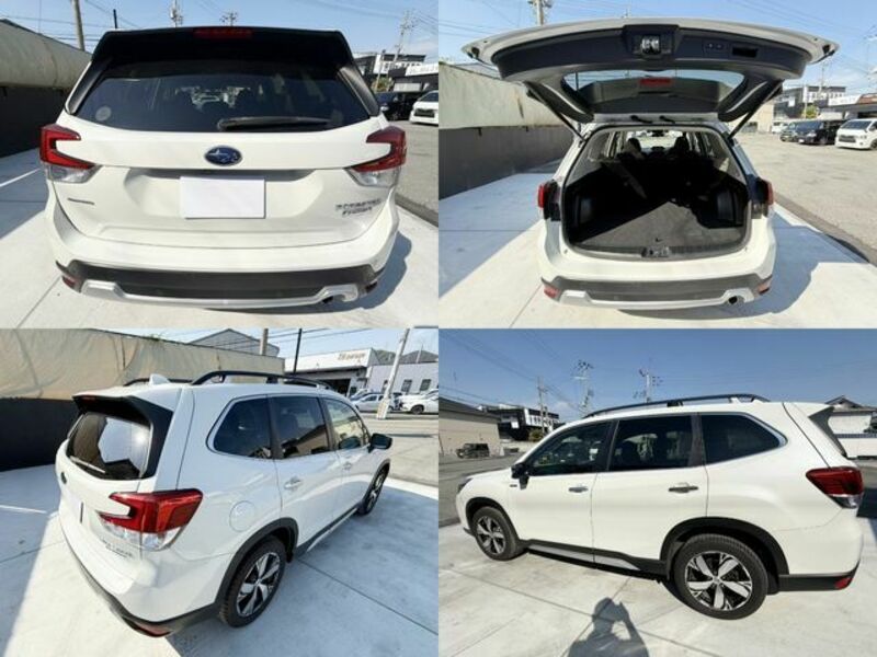 FORESTER-4