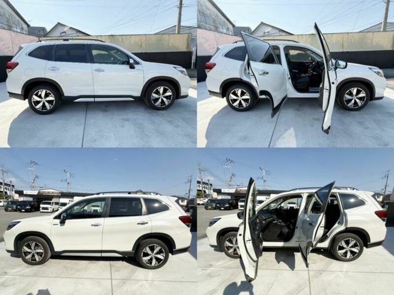 FORESTER-5