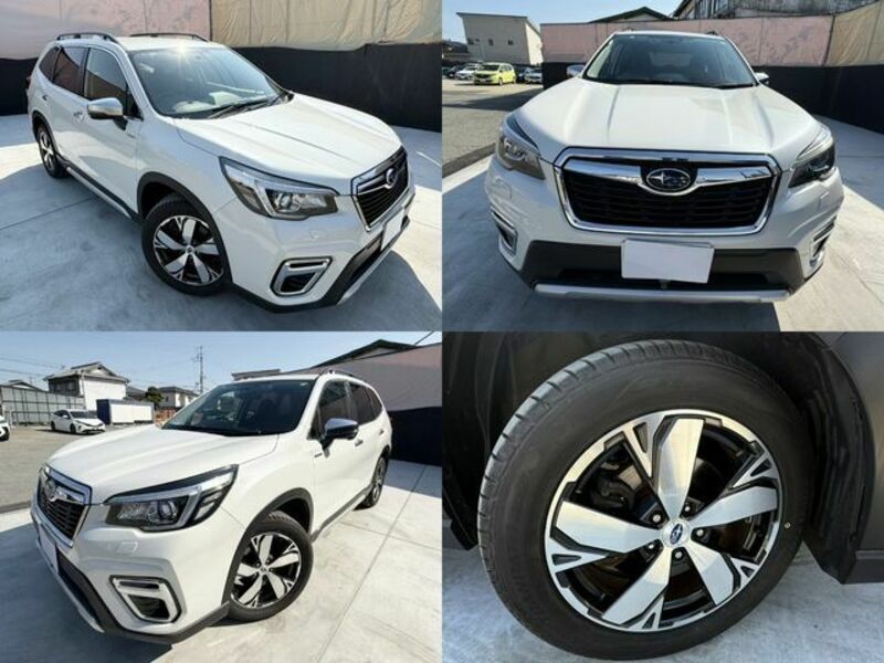 FORESTER-6