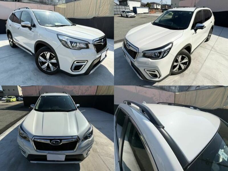 FORESTER-11