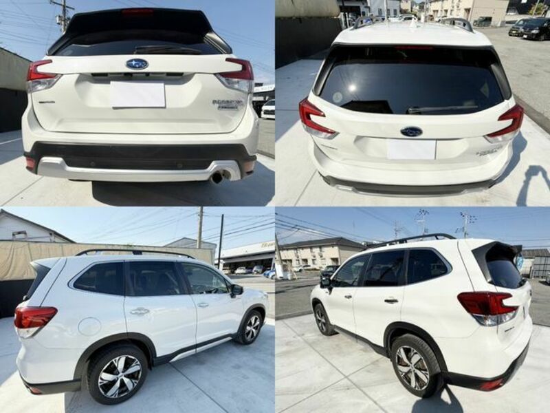 FORESTER-13