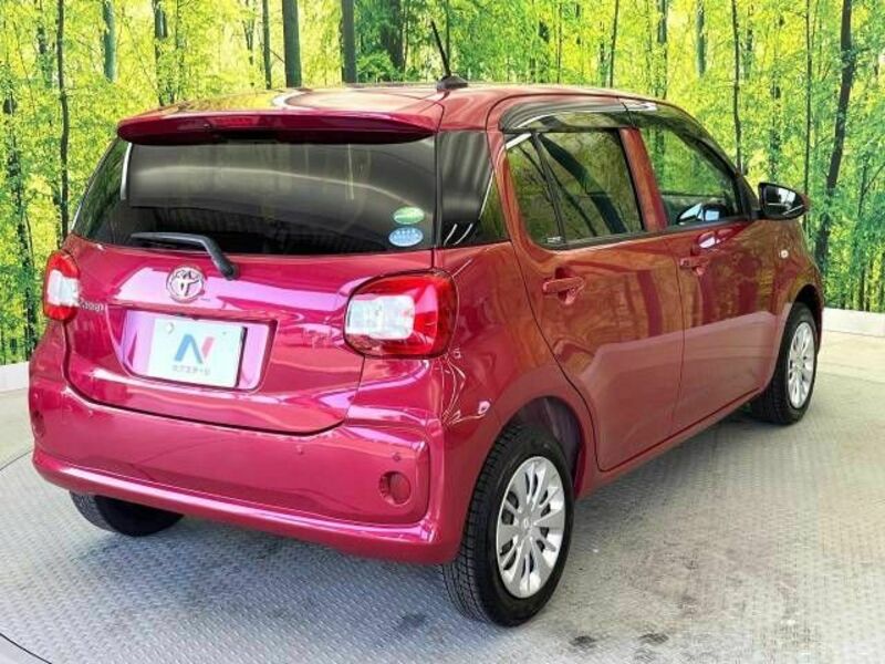 PASSO-17