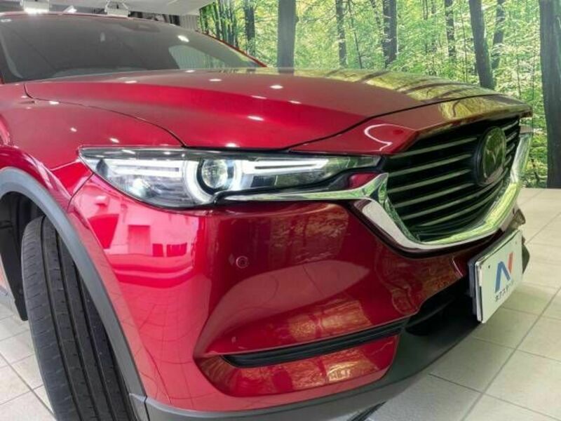 CX-8
