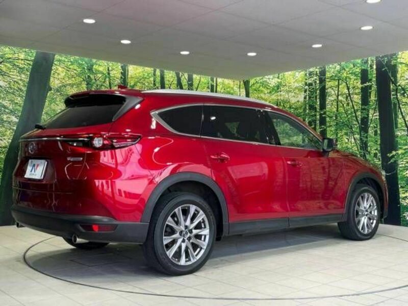 CX-8