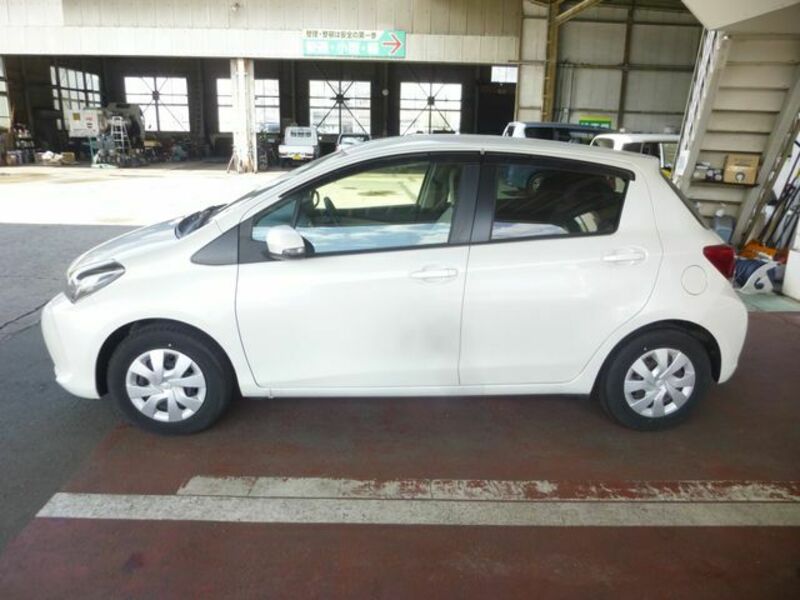 VITZ-1