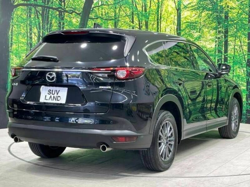 CX-8