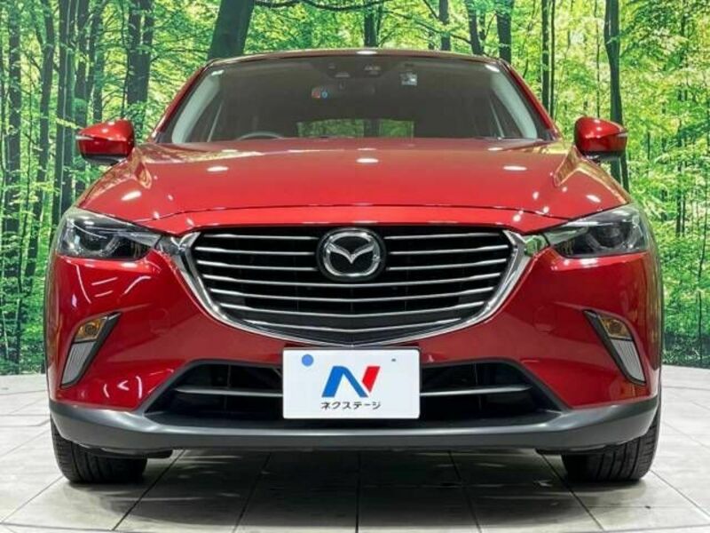 CX-3-13