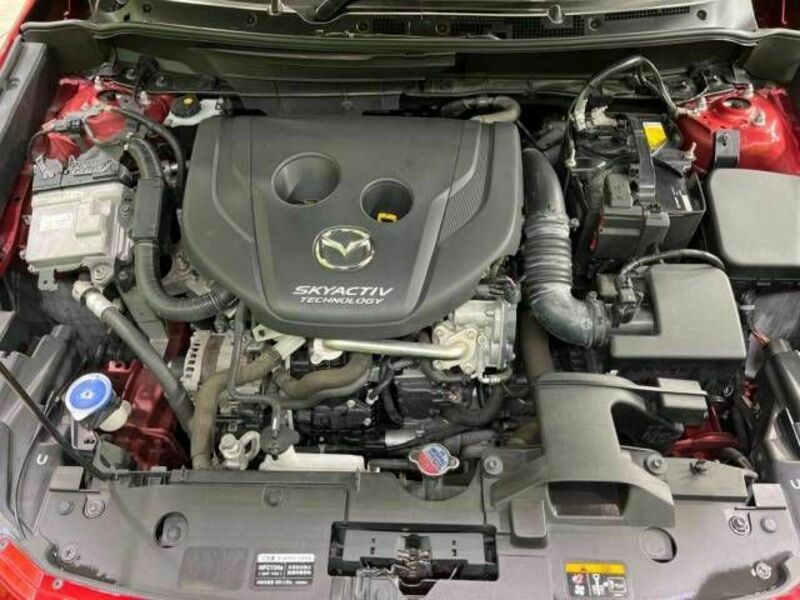 CX-3-17