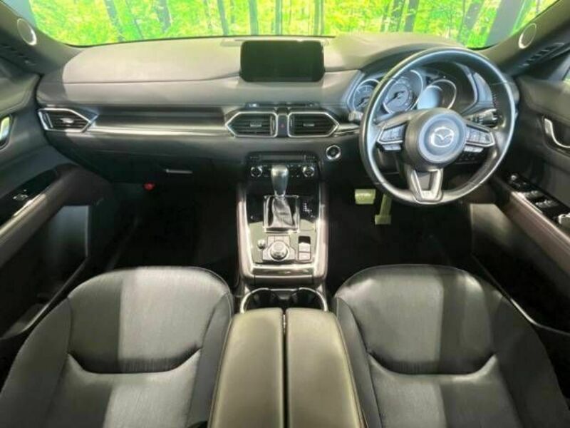 CX-8-1