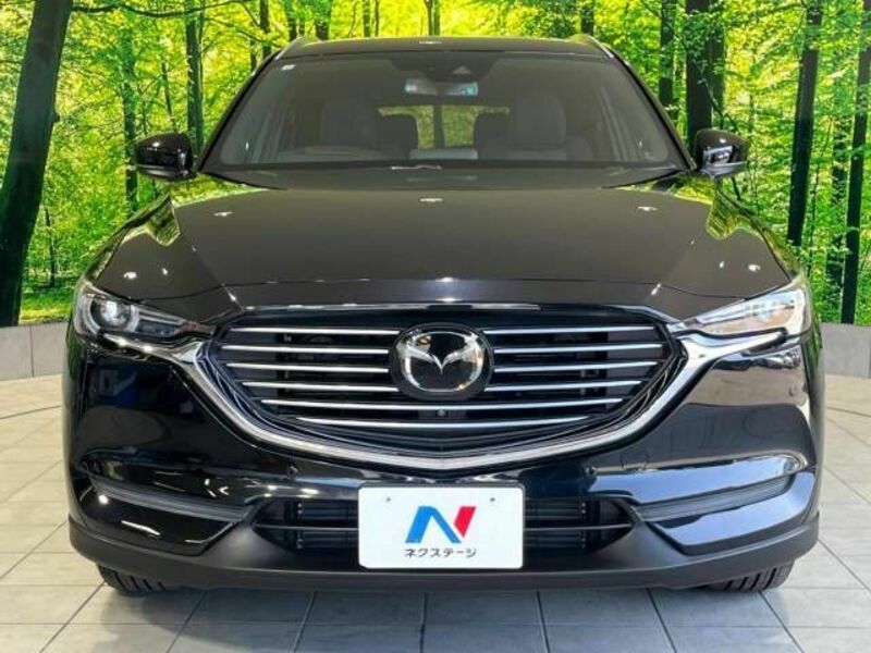 CX-8-13