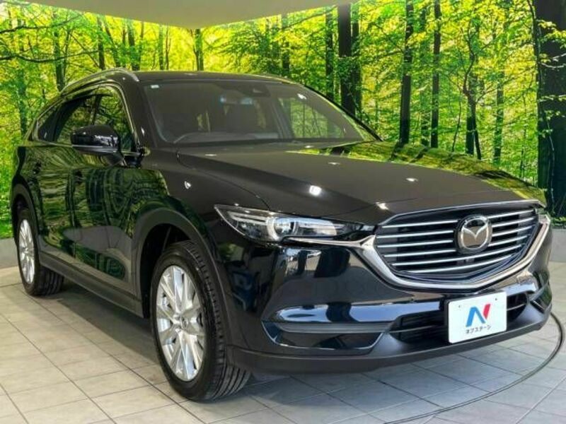 CX-8-15