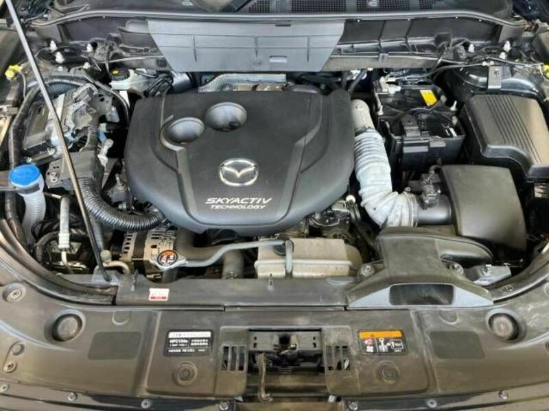 CX-8-16