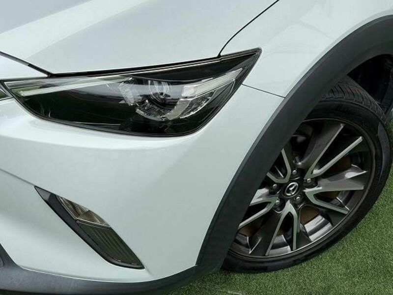 CX-3-10