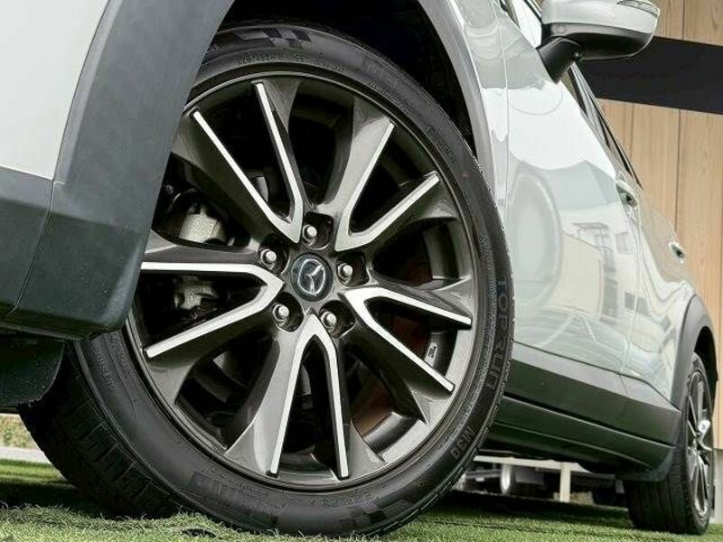 CX-3-11