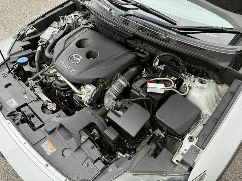 CX-3-14