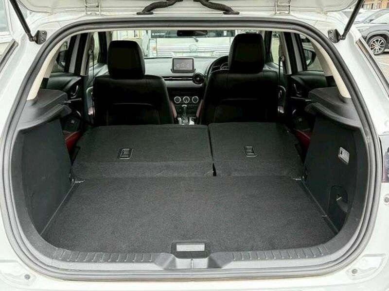 CX-3-19