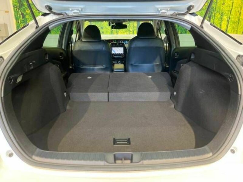 PRIUS-9