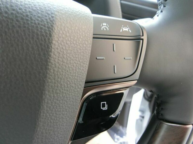 ALPHARD-18
