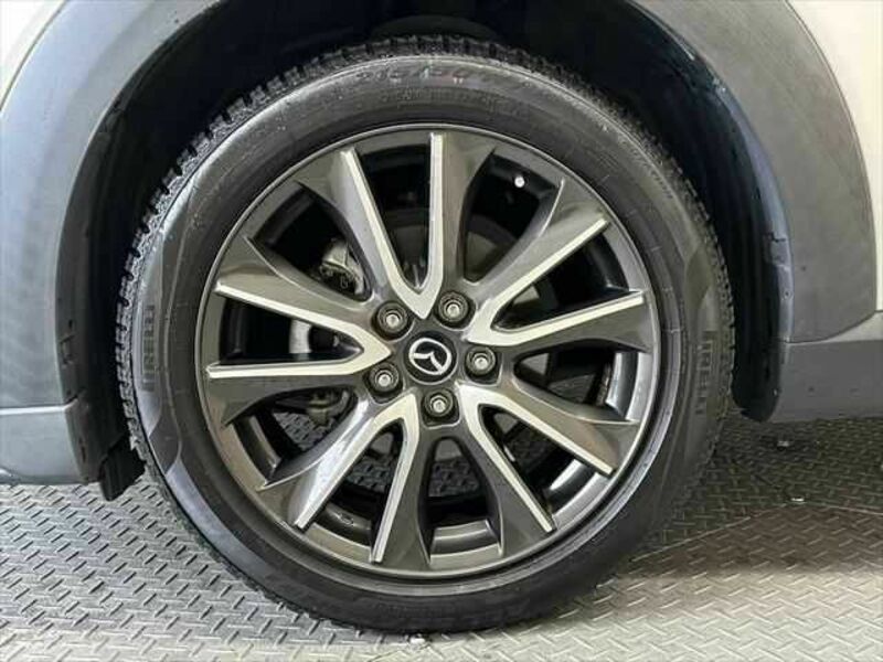 CX-3-13