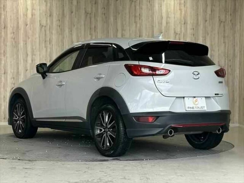 CX-3-19
