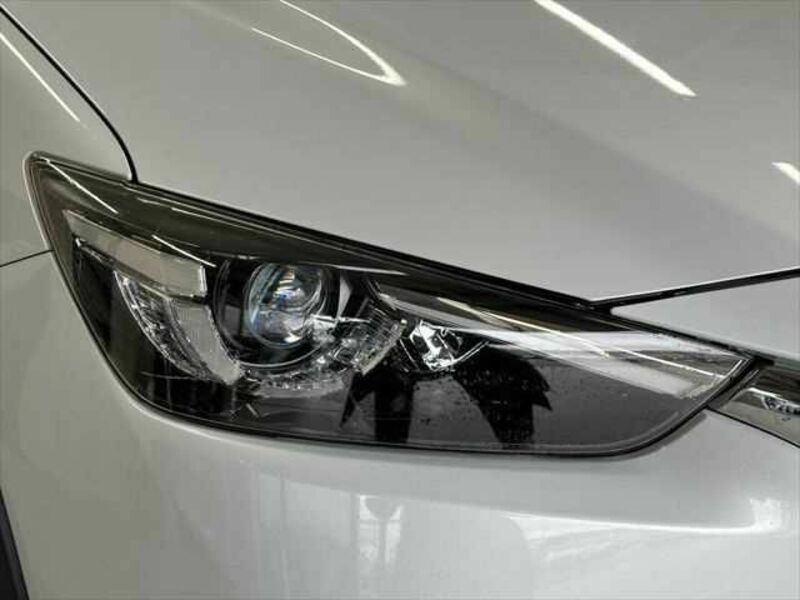 CX-3-21