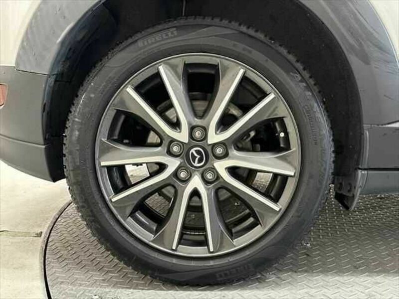 CX-3-29