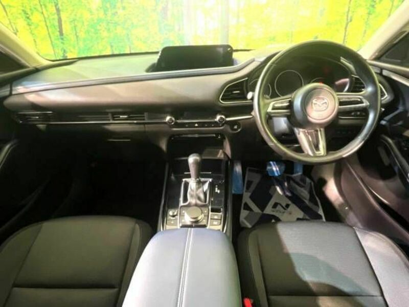 CX-30-1