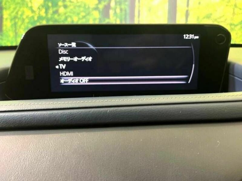 CX-30-3
