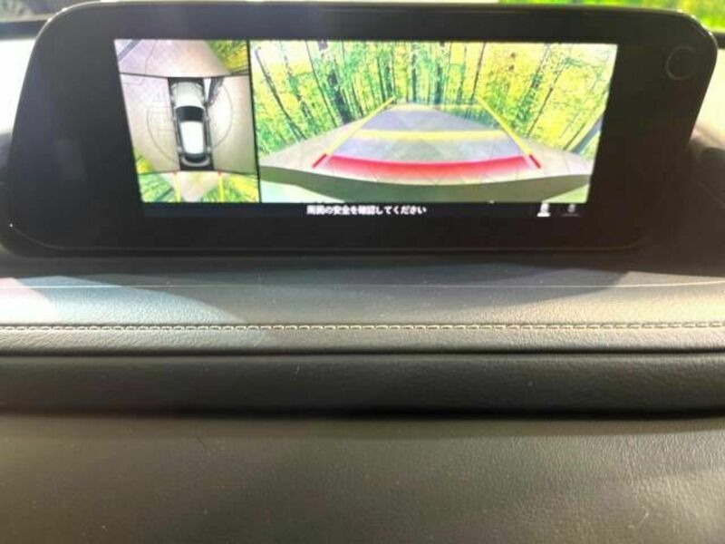 CX-30-4