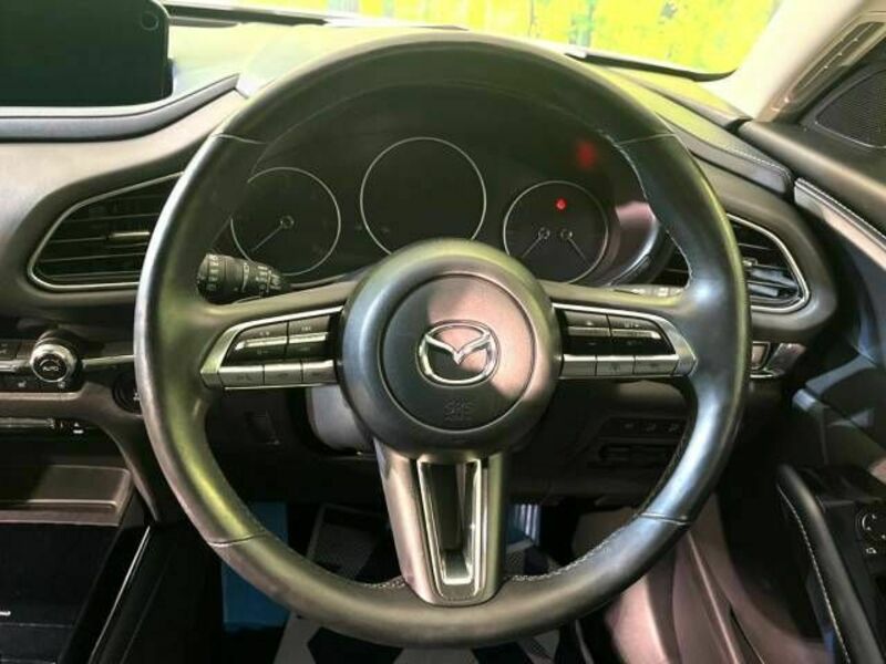 CX-30-10