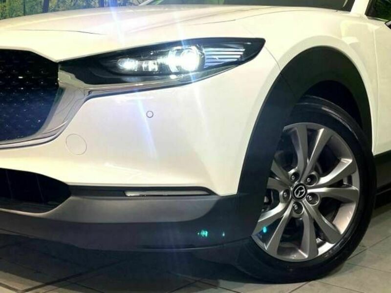 CX-30-11