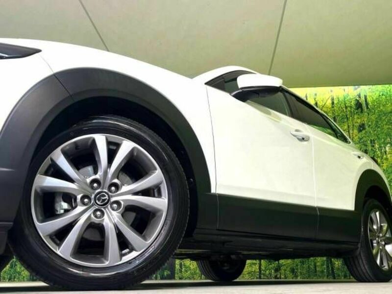 CX-30-12
