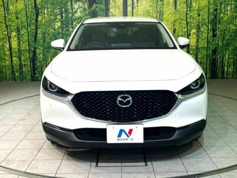 CX-30-13